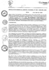 Vista preliminar de documento 250-2025-GRL-GGR