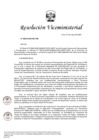 Vista preliminar de documento RVM N° 00055-2025-DE-VRD