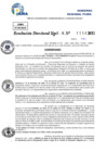 Vista preliminar de documento Resolucion Directoral N° 003020-2025