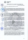 Vista preliminar de documento Resolución Alcaldía N°049-2025-MDLP-AL