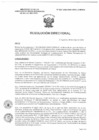 Vista preliminar de documento R.D. 0527-2025-DMID-DIRIS- LE-MINSA