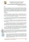 Vista preliminar de documento GDU-119-2025