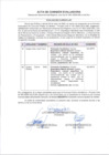 Vista preliminar de documento Acta de Comisión Evaluadora