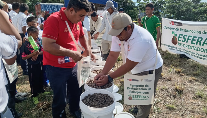 reforestación