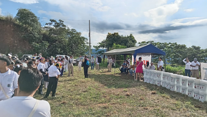 reforestacion