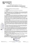 Vista preliminar de documento ACM25N056