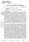 Vista preliminar de documento ACM25N061