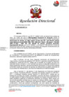 Vista preliminar de documento RD N°235-2025