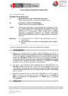 Vista preliminar de documento INFORME N°613-2025