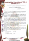 Vista preliminar de documento RESOLUCION DE ALCALDIA NRO. 033-2024-MDP