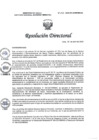 Vista preliminar de documento RD N° 143-2025-DG-INMP/MINSA