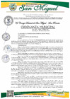 Vista preliminar de documento ORDENANZA MUNICIPAL Nro 007-2025-MDSM/CM