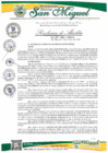 Vista preliminar de documento RESOLUCION DE ALCALDIA N 073-2025-MDSM/A