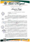 Vista preliminar de documento ACUERDO DE CONCEJO Nro. 020-2025-MDSM-CM.