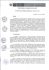 Vista preliminar de documento RESOLUCION Nº 030-2025-CVH-GG