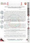 Vista preliminar de documento RESOLUCIÓN DE LA OGAF N°011-2025-MDS-ALC-GM-OGAF