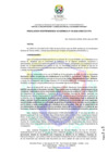 Vista preliminar de documento RVPA_N_150-2025-UNDC