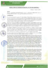 Vista preliminar de documento rgm-087