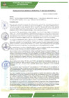 Vista preliminar de documento rgm-089