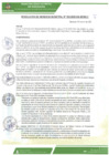 Vista preliminar de documento rgm-092