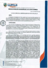 Vista preliminar de documento RA-N°119-2025_0001