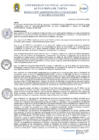 Vista preliminar de documento RAF N° 045-2025
