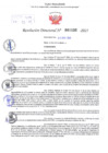 Vista preliminar de documento Resolución Directoral. N° 1132 - 2025 