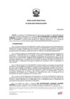 Vista preliminar de documento R.D. N° 00428 2025