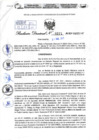 Vista preliminar de documento Resolución Directoral. N° 0874 -2025 