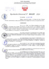 Vista preliminar de documento Resolución Directoral. N° 1137 - 2025  