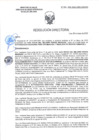 Vista preliminar de documento RD-1984-2025-DSAIA-DIRIS-LE-MINSA
