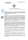 Vista preliminar de documento RD-1990-2025-DSAIA-DIRIS-LE-MINSA