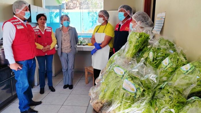 alimentos frescos