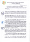 Vista preliminar de documento RGM 213-2025-MDSC