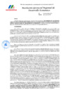 Vista preliminar de documento RGR DE 033-2025