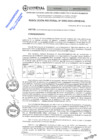 Vista preliminar de documento RES.RECT. N° 0399-2025-UNHEVAL