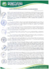 Vista preliminar de documento Resolucion-Gerencia-Municipal-262-2025-GM-MDQ-LC