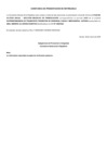 Vista preliminar de documento Constancia de presentación de entregable (Sección medidas de remediación)