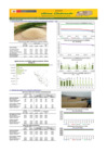 Vista preliminar de documento Boletín de abastecimiento y precio del ARROZ - 09/05/2025
