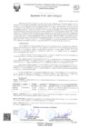 Vista preliminar de documento APROBAR, la designación de asesor y co-asesor para el proyecto de tesis de la estudiante: ALEXANDER HUAMAN HUAMAN