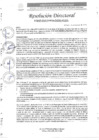 Vista preliminar de documento R.D. N°0267-2025-DIRESA-OGESS-HC