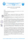 Vista preliminar de documento R.D. Nº 321-2024-MPP-OGAF