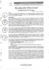 Vista preliminar de documento R.D. N°0270-2025-DIRESA-OGESS-HC