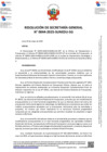 Vista preliminar de documento Resolución