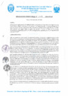Vista preliminar de documento R.D. Nº 332-2024-MPP-OGAF