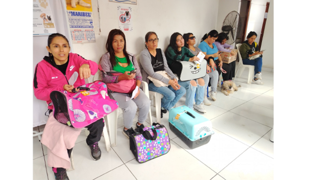 Gracias a la gestión responsable y el amor por los animales que caracteriza a este gobierno local, decenas de mascotas fueron atendidas de forma segura y a bajo costo, brindando a sus familias tranquilidad y mejores condiciones de vida.
Esta acción forma parte del cumplimiento de la Ley N° 31311 que prioriza la esterilización de perros y gatos como componente de la política nacional de salud pública, ello permitirá reducir la sobrepoblación de animales, prevenir enfermedades como la rabia y el cáncer, y evitar comportamientos agresivos o camadas no deseadas.
Si no lograste participar en esta campaña, te invitamos a seguir atento a nuestras redes sociales, donde pronto anunciaremos nuevas fechas para continuar cuidando de tus engreídos.