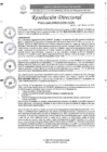 Vista preliminar de documento R.D. N°0271-2025-DIRESA-OGESS-HC