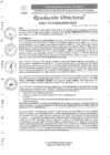 Vista preliminar de documento R.D. N°0272-2025-DIRESA-OGESS-HC