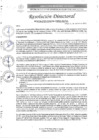 Vista preliminar de documento R.D. N°0274-2025-DIRESA-OGESS-HC