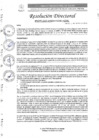 Vista preliminar de documento R.D. N°0275-2025-DIRESA-OGESS-HC